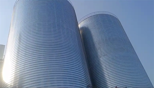 璧山2座混凝土高架卷板仓